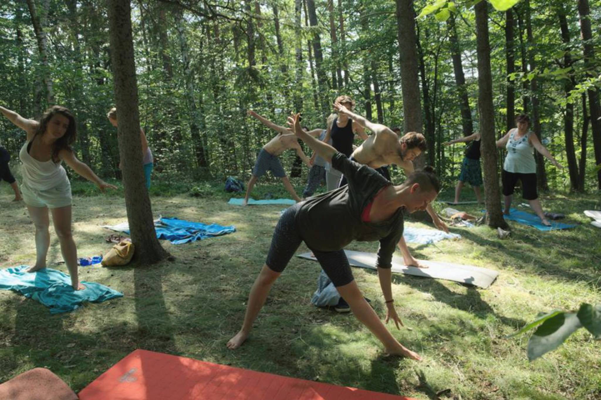 The Festival of Creativity